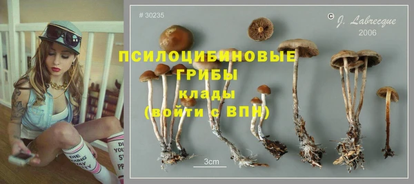 спайс Алексин