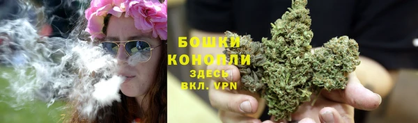 спайс Алексин