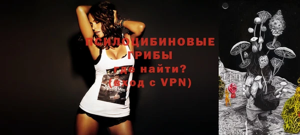 спайс Алексин