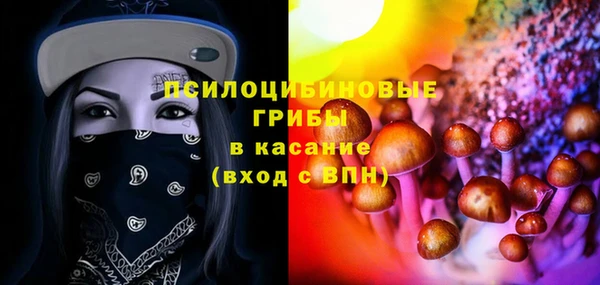 ПСИЛОЦИБИНОВЫЕ ГРИБЫ Абаза