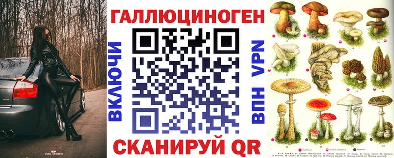 Галлюциногенные грибы Psilocybine cubensis  блэк спрут зеркало  Кохма 