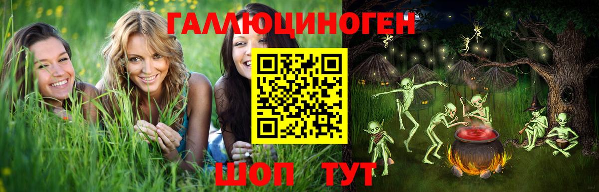 Галлюциногенные грибы Psilocybine cubensis Кохма