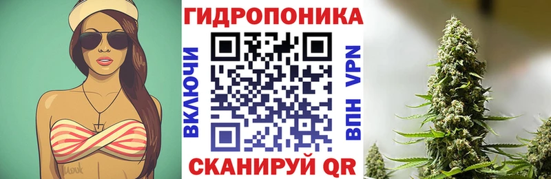 Бошки Шишки тримм Кохма